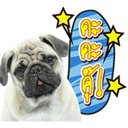 We are Lovely Pets: Animated with Sound We are Lovely Pet: Animated with Sound Sticker for LINE & WhatsApp | ZIP: GIF & PNG