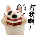Asakuma Toshio: Animal Life