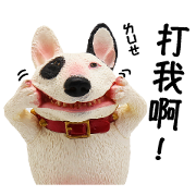 Asakuma Toshio: Animal Life Asakuma Toshio: Animal Life Sticker for LINE & WhatsApp | ZIP: GIF & PNG