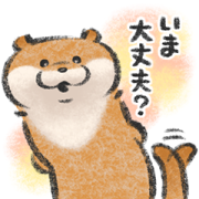 Cute lie otter: Conversation Starters Sticker for LINE & WhatsApp | ZIP: GIF & PNG