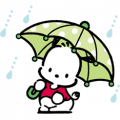 Pochacco