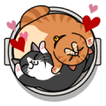 Meow Me 3
