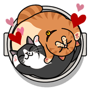 Meow Me 3 Sticker for LINE & WhatsApp | ZIP: GIF & PNG