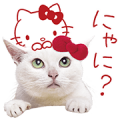 Anago-chan × Hello Kitty