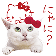 Anago-chan × Hello Kitty Sticker for LINE & WhatsApp | ZIP: GIF & PNG