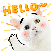 Bai-Ji Has Something to Say Bai-Ji Has Something to Say Sticker for LINE & WhatsApp | ZIP: GIF & PNG