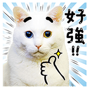 Bai-Ji Has Something to Say 2 Bai-Ji Has Something to Say 2 Sticker for LINE & WhatsApp | ZIP: GIF & PNG
