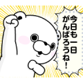 Bear 100% Message Stickers Sticker for LINE & WhatsApp | ZIP: GIF & PNG