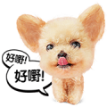 Cantonese Cat and Dog Stickers Cantonese Cat and Dog Stickers