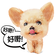 Cantonese Cat and Dog Stickers Cantonese Cat and Dog Stickers Sticker for LINE & WhatsApp | ZIP: GIF & PNG