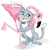 Cici & Vivi: Best Friends Forever Sticker for LINE & WhatsApp | ZIP: GIF & PNG