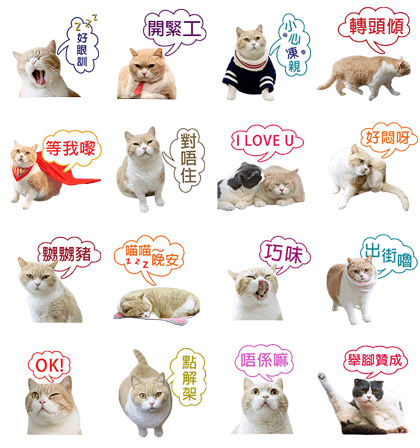 Cream Brother Line Sticker GIF & PNG Pack: Animated & Transparent No Background | WhatsApp Sticker