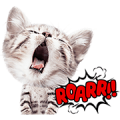 Cute Animals Stickers