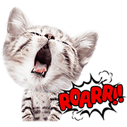 Cute Animals Stickers Sticker for LINE & WhatsApp | ZIP: GIF & PNG