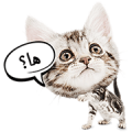 Cute Pet Animals
