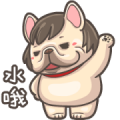 French Bulldog PIGU: Animated Sound XIV
