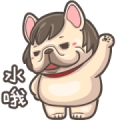 French Bulldog PIGU: Animated Sound XIV French Bulldog PIGU: Animated Sound XIV