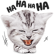 Kittens and Puppies! Sticker for LINE & WhatsApp | ZIP: GIF & PNG