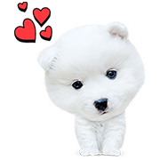 My Best Friend, Woof Woof My Best Friend, Woof Woof Sticker for LINE & WhatsApp | ZIP: GIF & PNG