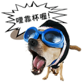 My Dogs and Cats Age Sticker for LINE & WhatsApp | ZIP: GIF & PNG