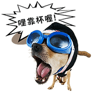 My Dogs and Cats Age My Dogs and Cats Age Sticker for LINE & WhatsApp | ZIP: GIF & PNG