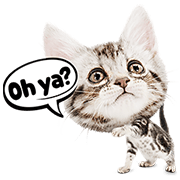 My Spoiled Friend, Meow My Spoiled Friend, Meow Sticker for LINE & WhatsApp | ZIP: GIF & PNG