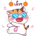 Soidow Cat Animated Sticker for LINE & WhatsApp | ZIP: GIF & PNG