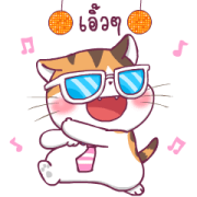 Soidow Cat Animated Sticker for LINE & WhatsApp | ZIP: GIF & PNG