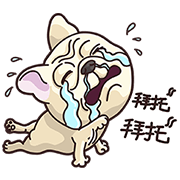 Stupid Doggy Sticker for LINE & WhatsApp | ZIP: GIF & PNG
