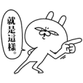 Animated Super Expressive Rabbit