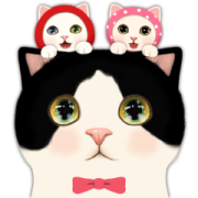 CHOO CHOO CAT TRIO CHOO CHOO CAT TRIO Sticker for LINE & WhatsApp | ZIP: GIF & PNG