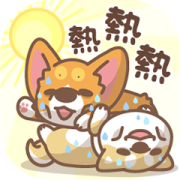 Corgi PonPon & ChaiChai Summer Stickers Corgi PonPon & ChaiChai Summer Stickers Sticker for LINE & WhatsApp | ZIP: GIF & PNG
