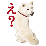 MOON RIBAR Sticker for LINE & WhatsApp | ZIP: GIF & PNG