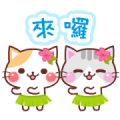 Animated Cats (Summer) Sticker for LINE & WhatsApp | ZIP: GIF & PNG