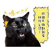 DIY message with Baiji (Photo images) DIY message with Baiji (Photo images) Sticker for LINE & WhatsApp | ZIP: GIF & PNG