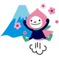 momozukin momozukin