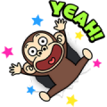 Funny Monkey Moving Backgrounds