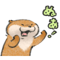 Animated Cute Lie Otter Sticker for LINE & WhatsApp | ZIP: GIF & PNG