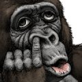 Gorilla Gorilla [BIG] Stickers
