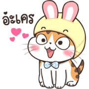 Soidow Cat Animated 2 Sticker for LINE & WhatsApp | ZIP: GIF & PNG