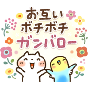 Sweet Healing Everyday Stickers Sticker for LINE & WhatsApp | ZIP: GIF & PNG