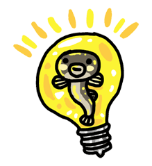 Bonboya-zyu Chibi Stickers Sticker for LINE & WhatsApp | ZIP: GIF & PNG