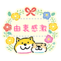 SHIBANBAN Message Stickers Sticker for LINE & WhatsApp | ZIP: GIF & PNG