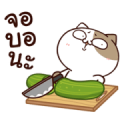 Tofu Cat: Trendy Hits Sticker for LINE & WhatsApp | ZIP: GIF & PNG