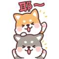 Fluffy Fat Shiba [BIG] Stickers