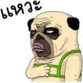 Mao Whatta Pug: Bipolar Big Stickers Sticker for LINE & WhatsApp | ZIP: GIF & PNG