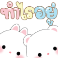 Micool & Taicutie Pop-Ups Micool & Taicutie Pop-Ups