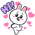 Brown & Cony’s Rosy Love Brown & Cony’s Rosy Love
