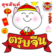 chinese new year cats