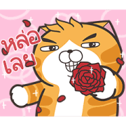 Lan Lan Cat: Moving Moving Sticker for LINE & WhatsApp | ZIP: GIF & PNG